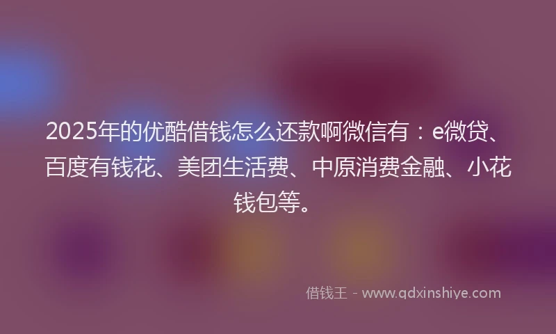 2025年的优酷借钱怎么还款啊微信有：e微贷、百度有钱花、美团生活费、中原消费金融、小花钱包等。