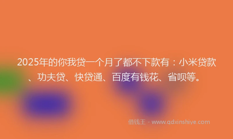 2025年的你我贷一个月了都不下款有：小米贷款、功夫贷、快贷通、百度有钱花、省呗等。