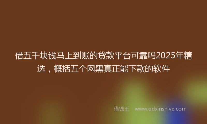 借五千块钱马上到账的贷款平台可靠吗2025年精选，概括五个网黑真正能下款的软件