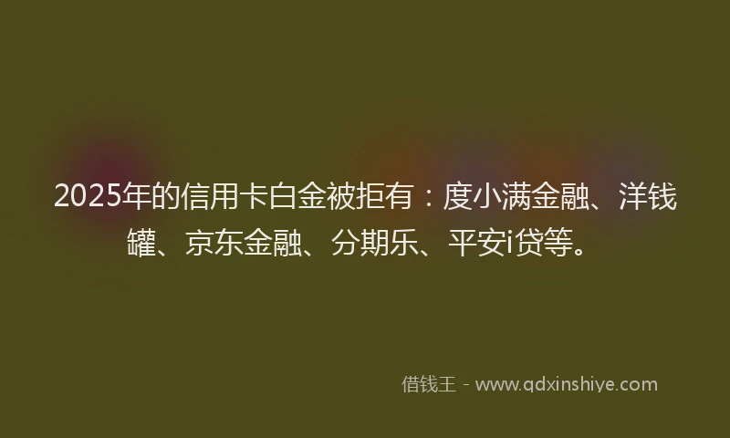 2025年的信用卡白金被拒有：度小满金融、洋钱罐、京东金融、分期乐、平安i贷等。