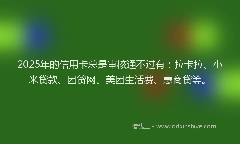 2025年的信用卡总是审核通不过有：拉卡拉、小米贷款、团贷网、美团生活费、惠商贷等。