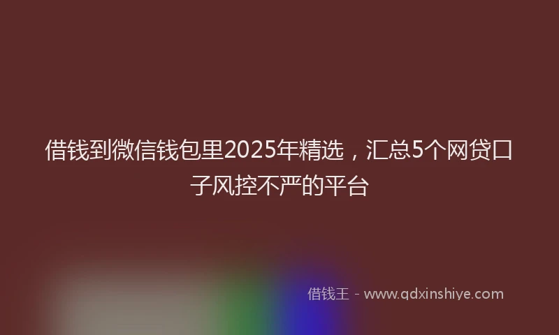 借钱到微信钱包里2025年精选，汇总5个网贷口子风控不严的平台