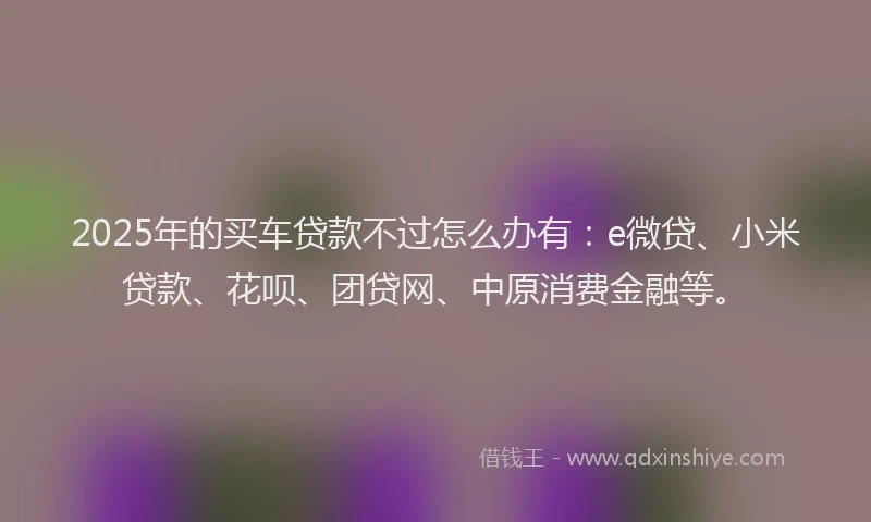2025年的买车贷款不过怎么办有：e微贷、小米贷款、花呗、团贷网、中原消费金融等。