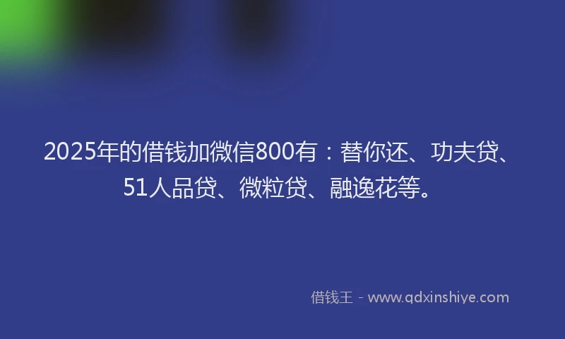 2025年的借钱加微信800有：替你还、功夫贷、51人品贷、微粒贷、融逸花等。