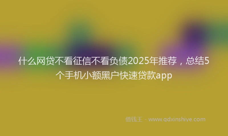 什么网贷不看征信不看负债2025年推荐，总结5个手机小额黑户快速贷款app