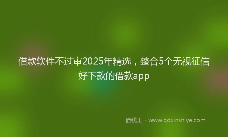 借款软件不过审2025年精选，整合5个无视征信好下款的借款app