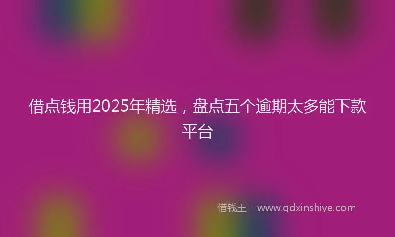 借点钱用2025年精选，盘点五个逾期太多能下款平台