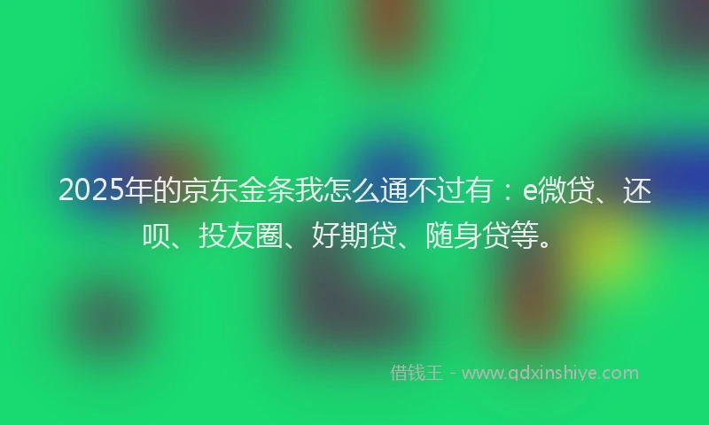 2025年的京东金条我怎么通不过有：e微贷、还呗、投友圈、好期贷、随身贷等。