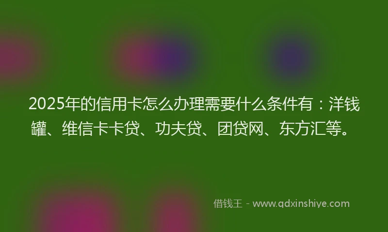 2025年的信用卡怎么办理需要什么条件有：洋钱罐、维信卡卡贷、功夫贷、团贷网、东方汇等。