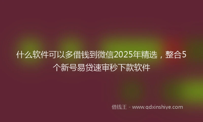 什么软件可以多借钱到微信2025年精选，整合5个新号易贷速审秒下款软件