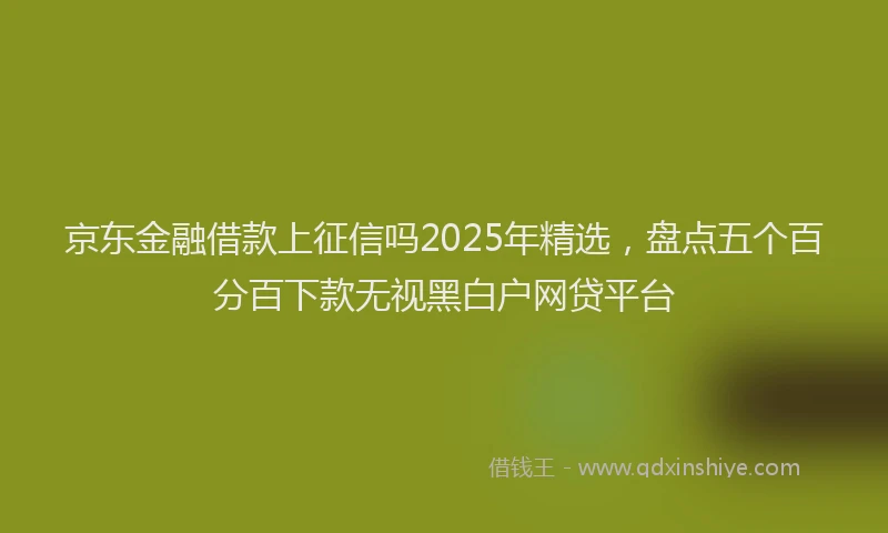 京东金融借款上征信吗2025年精选，盘点五个百分百下款无视黑白户网贷平台