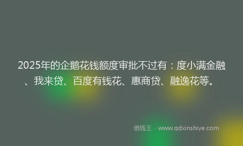 2025年的企鹅花钱额度审批不过有：度小满金融、我来贷、百度有钱花、惠商贷、融逸花等。