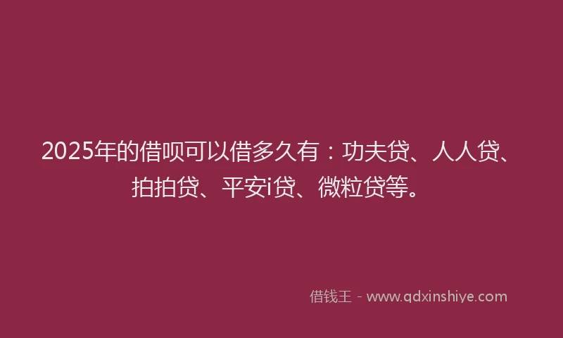 2025年的借呗可以借多久有：功夫贷、人人贷、拍拍贷、平安i贷、微粒贷等。