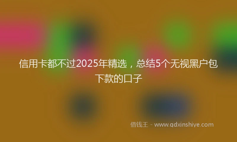 信用卡都不过2025年精选，总结5个无视黑户包下款的口子
