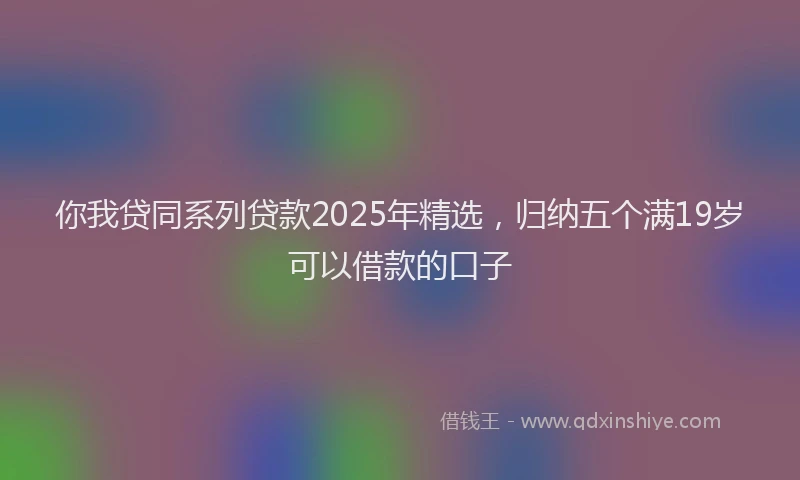 你我贷同系列贷款2025年精选，归纳五个满19岁可以借款的口子