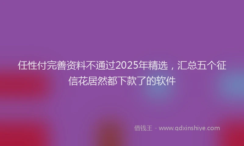 任性付完善资料不通过2025年精选，汇总五个征信花居然都下款了的软件