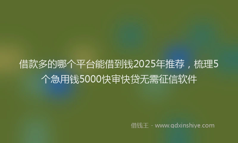 借款多的哪个平台能借到钱2025年推荐，梳理5个急用钱5000快审快贷无需征信软件