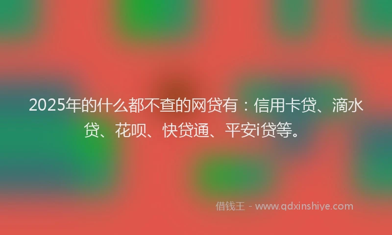 2025年的什么都不查的网贷有：信用卡贷、滴水贷、花呗、快贷通、平安i贷等。