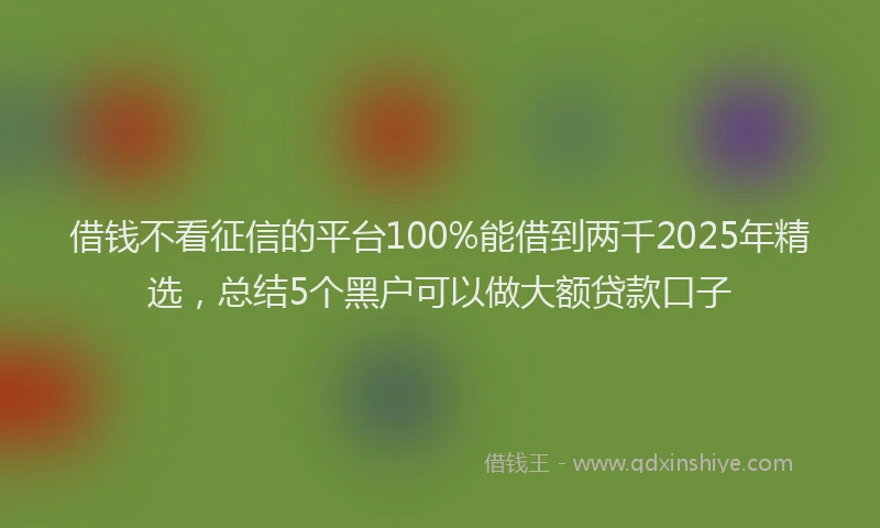 借钱不看征信的平台100%能借到两千2025年精选，总结5个黑户可以做大额贷款口子