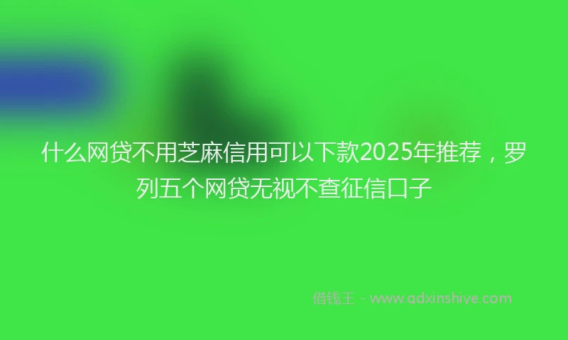 什么网贷不用芝麻信用可以下款2025年推荐，罗列五个网贷无视不查征信口子