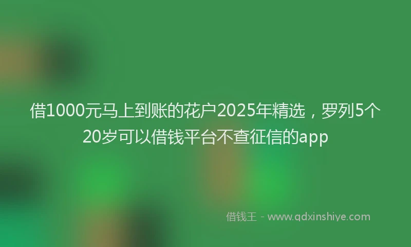 借1000元马上到账的花户2025年精选，罗列5个20岁可以借钱平台不查征信的app