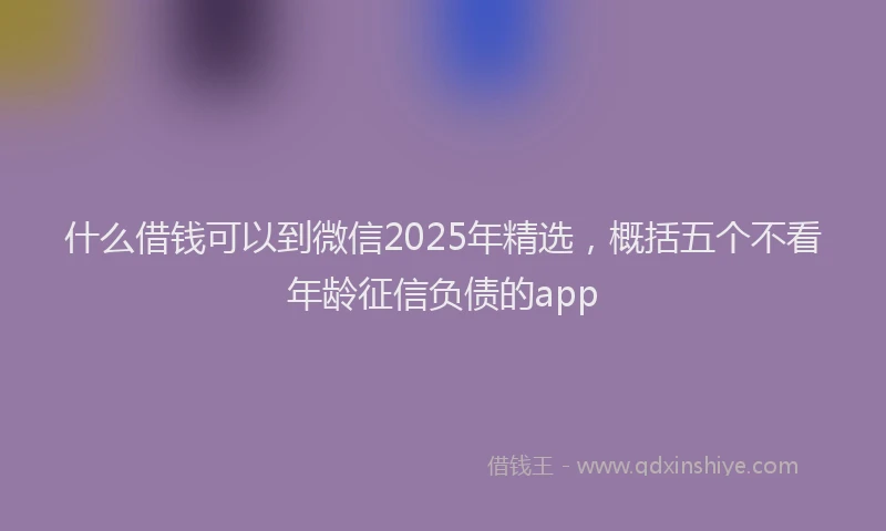 什么借钱可以到微信2025年精选，概括五个不看年龄征信负债的app