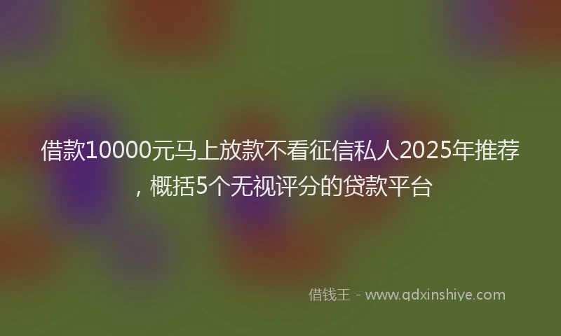 借款10000元马上放款不看征信私人2025年推荐，概括5个无视评分的贷款平台