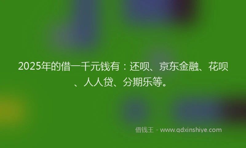 2025年的借一千元钱有：还呗、京东金融、花呗、人人贷、分期乐等。