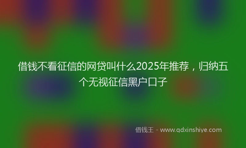 借钱不看征信的网贷叫什么2025年推荐，归纳五个无视征信黑户口子