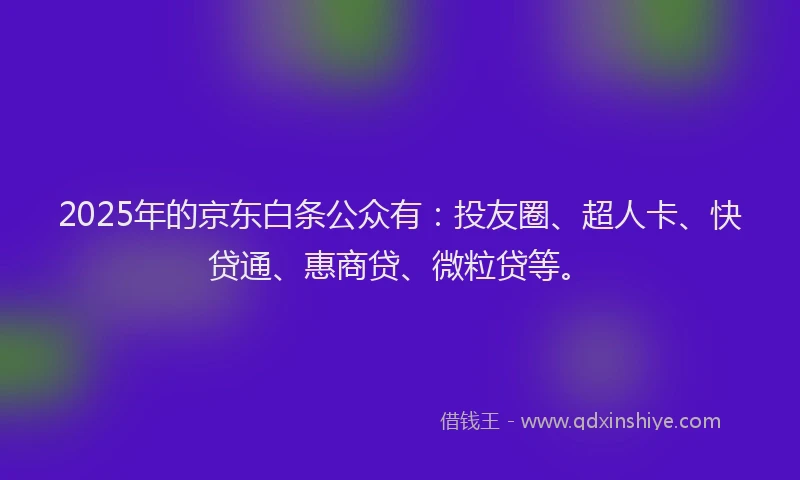 2025年的京东白条公众有：投友圈、超人卡、快贷通、惠商贷、微粒贷等。