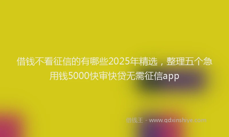 借钱不看征信的有哪些2025年精选，整理五个急用钱5000快审快贷无需征信app