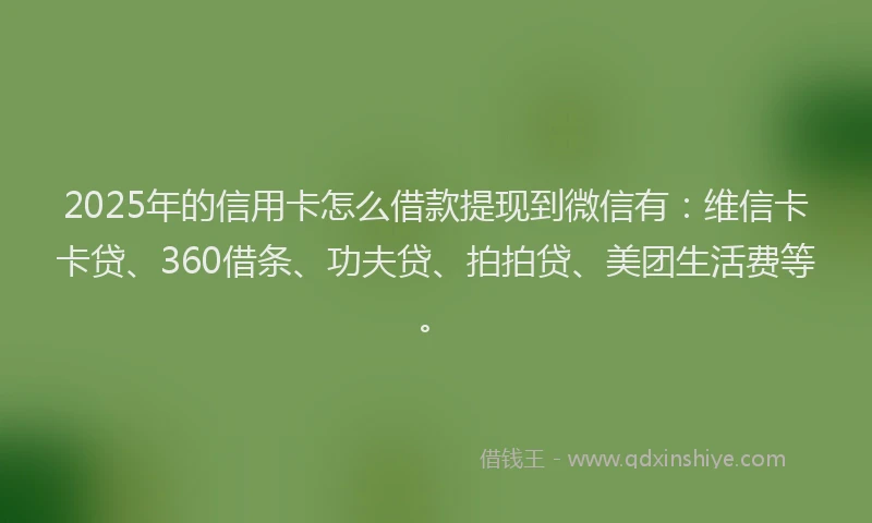 2025年的信用卡怎么借款提现到微信有：维信卡卡贷、360借条、功夫贷、拍拍贷、美团生活费等。