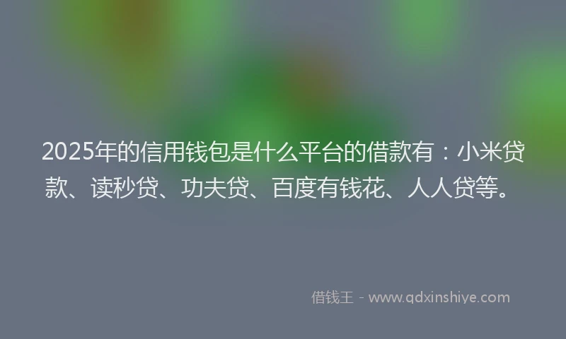 2025年的信用钱包是什么平台的借款有：小米贷款、读秒贷、功夫贷、百度有钱花、人人贷等。