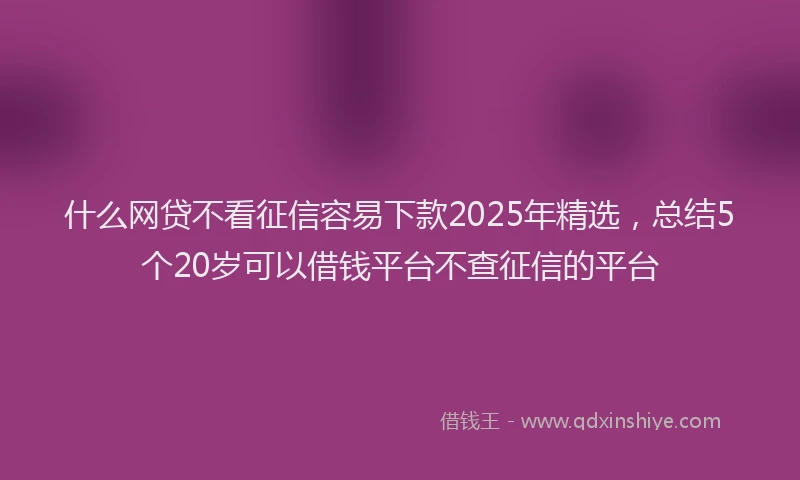 什么网贷不看征信容易下款2025年精选，总结5个20岁可以借钱平台不查征信的平台