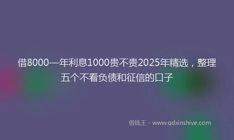 借8000—年利息1000贵不贵2025年精选，整理五个不看负债和征信的口子