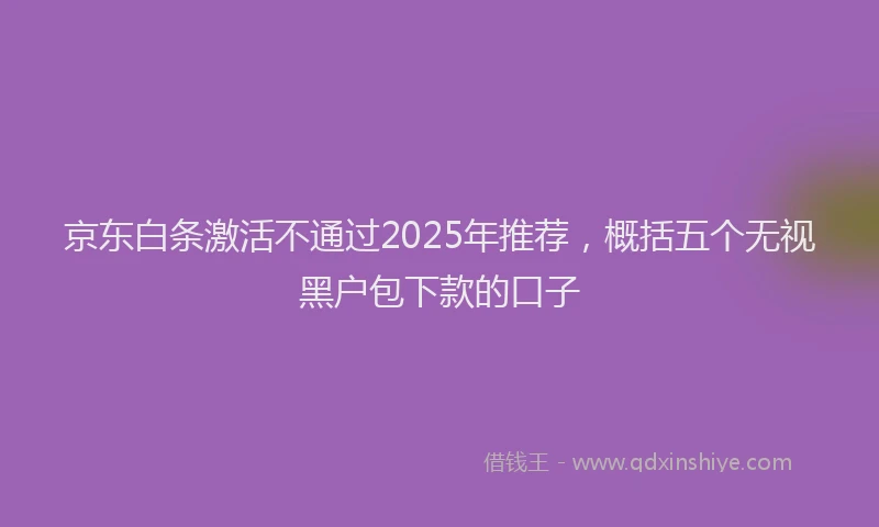 京东白条激活不通过2025年推荐，概括五个无视黑户包下款的口子