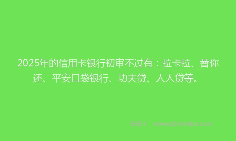 2025年的信用卡银行初审不过有：拉卡拉、替你还、平安口袋银行、功夫贷、人人贷等。