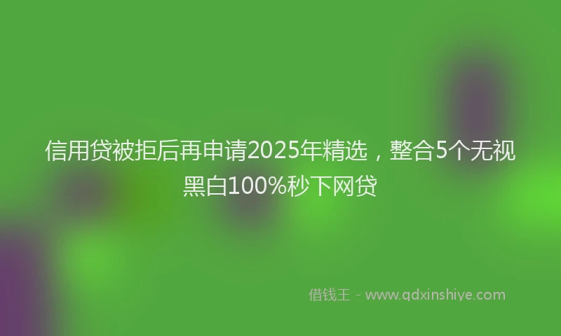 信用贷被拒后再申请2025年精选，整合5个无视黑白100%秒下网贷