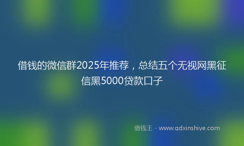 借钱的微信群2025年推荐，总结五个无视网黑征信黑5000贷款口子
