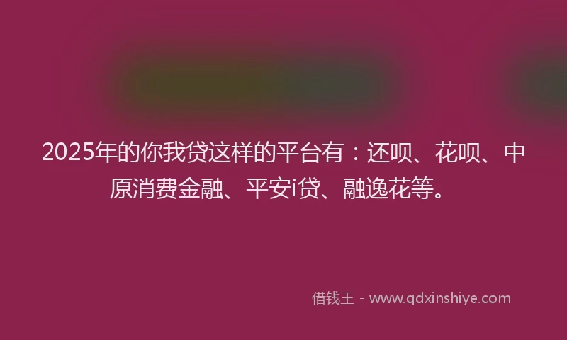 2025年的你我贷这样的平台有：还呗、花呗、中原消费金融、平安i贷、融逸花等。
