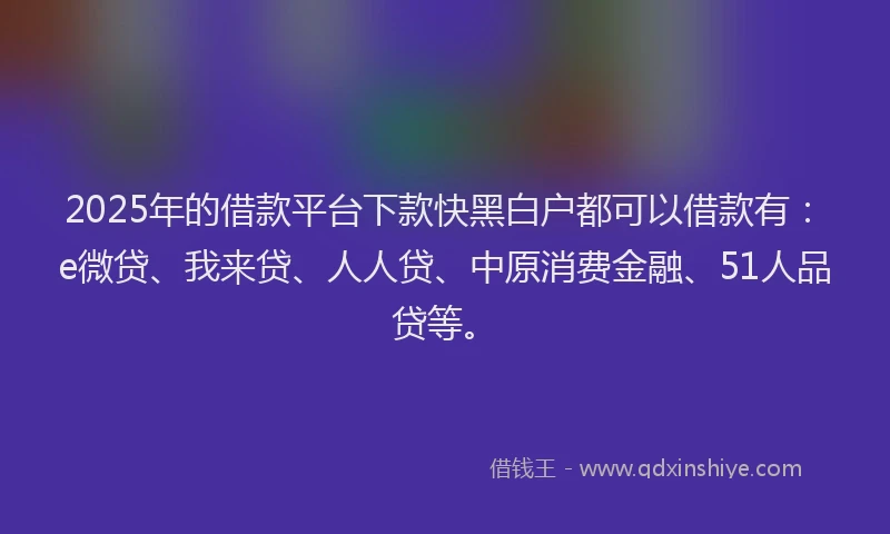 2025年的借款平台下款快黑白户都可以借款有：e微贷、我来贷、人人贷、中原消费金融、51人品贷等。