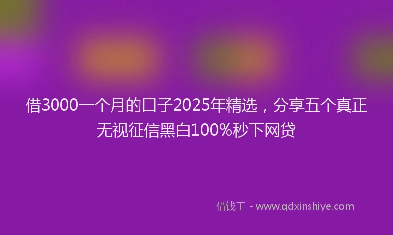 借3000一个月的口子2025年精选，分享五个真正无视征信黑白100%秒下网贷