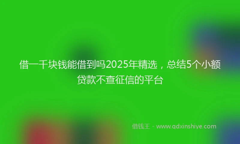 借一千块钱能借到吗2025年精选，总结5个小额贷款不查征信的平台