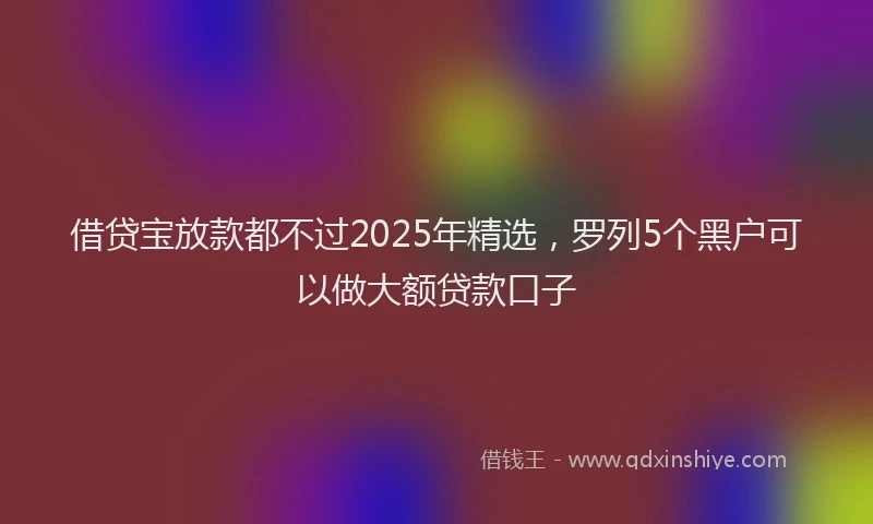 借贷宝放款都不过2025年精选，罗列5个黑户可以做大额贷款口子