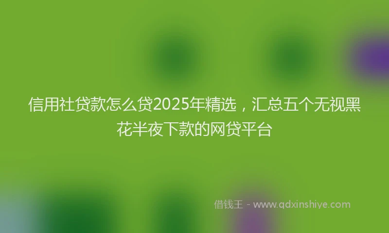 信用社贷款怎么贷2025年精选，汇总五个无视黑花半夜下款的网贷平台