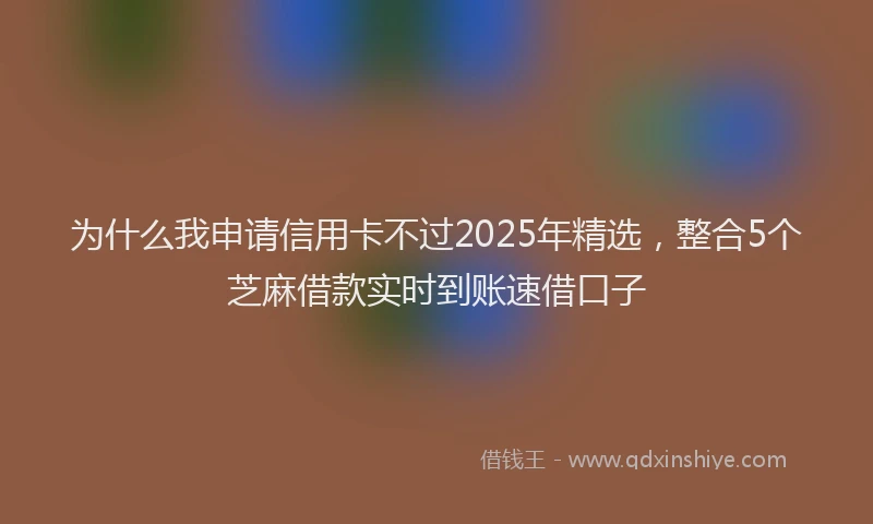 为什么我申请信用卡不过2025年精选，整合5个芝麻借款实时到账速借口子