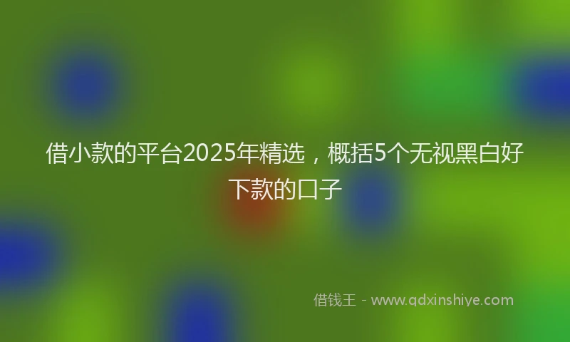 借小款的平台2025年精选，概括5个无视黑白好下款的口子
