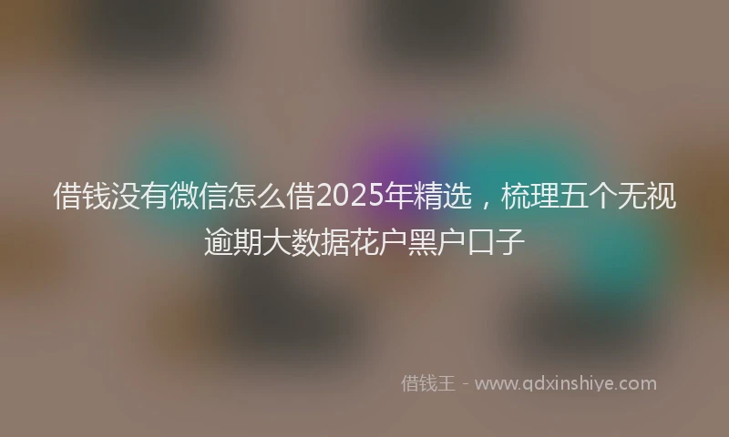 借钱没有微信怎么借2025年精选，梳理五个无视逾期大数据花户黑户口子