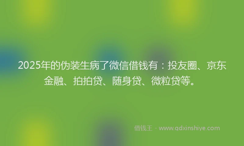 2025年的伪装生病了微信借钱有：投友圈、京东金融、拍拍贷、随身贷、微粒贷等。