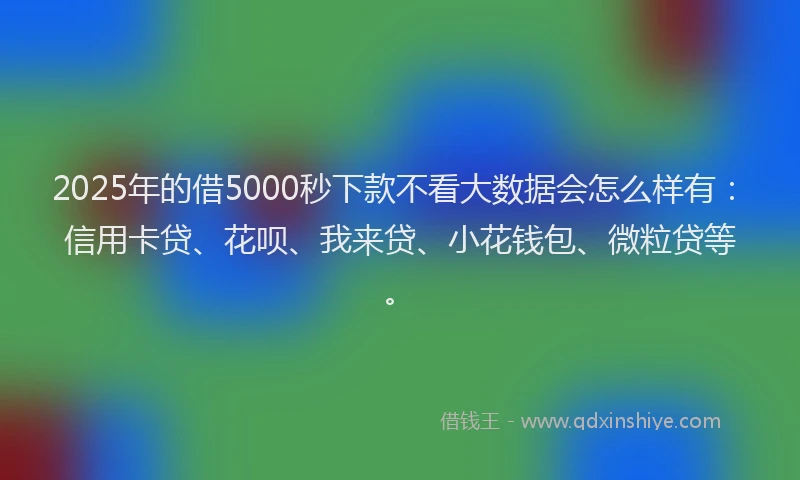 2025年的借5000秒下款不看大数据会怎么样有：信用卡贷、花呗、我来贷、小花钱包、微粒贷等。